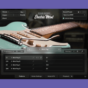 Session Guitarist - Electric Mint (KONTAKT)