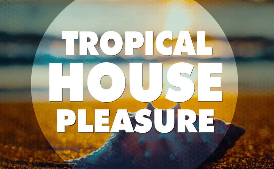 Big EDM: Tropical House Pleasure (Sample Packs)