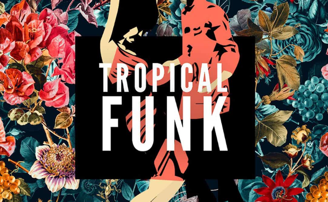 Tropical Funk: Basement Freaks (Sample Packs)