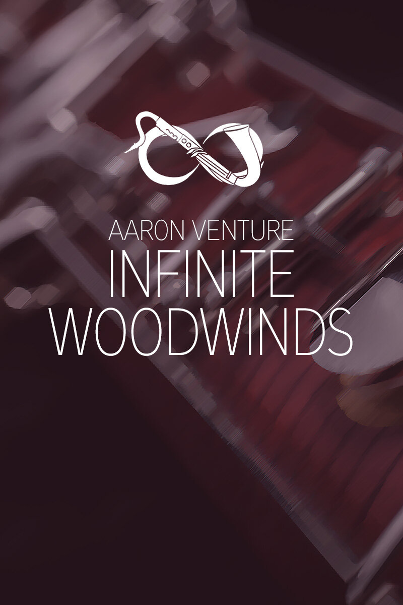 Aaron Venture Infinite Woodwinds 2 (KONTAKT)
