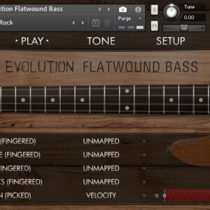 Orange Tree Samples - Evolution Flatwound Bass