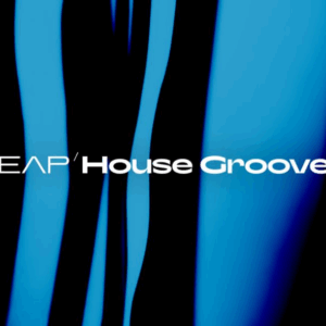 Native Instruments - Leap House Grooves