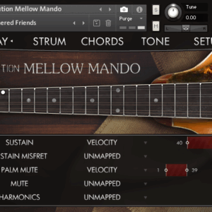 Orange Tree Samples - Evolution Mellow Mando