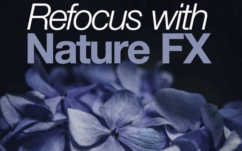 Pro Sound Effects Library - Refocus with Nature FX